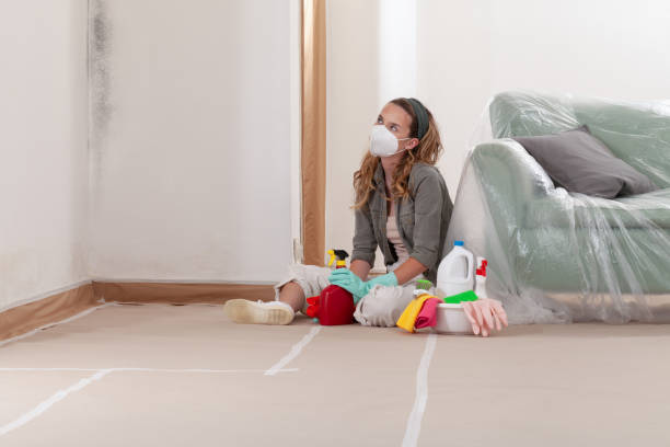 Reliable Hvac And Air Duct Mold Remediation contractor in Hopewell, VA by 24 Hour Mold Removal
